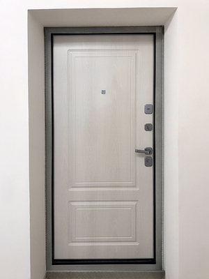 Металлическая дверь для квартиры Металлическая дверь для квартиры